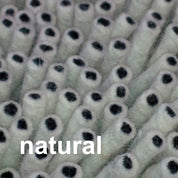 Reef Woolen Floor Rug